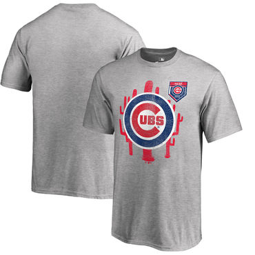 Chicago Cubs Fanatics Branded 2018 MLB Spring Training Vintage T Shirt Heather Gray