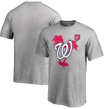 Washington Nationals Fanatics Branded 2018 MLB Spring Training Vintage T Shirt Heather Gray
